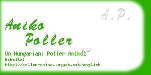 aniko poller business card